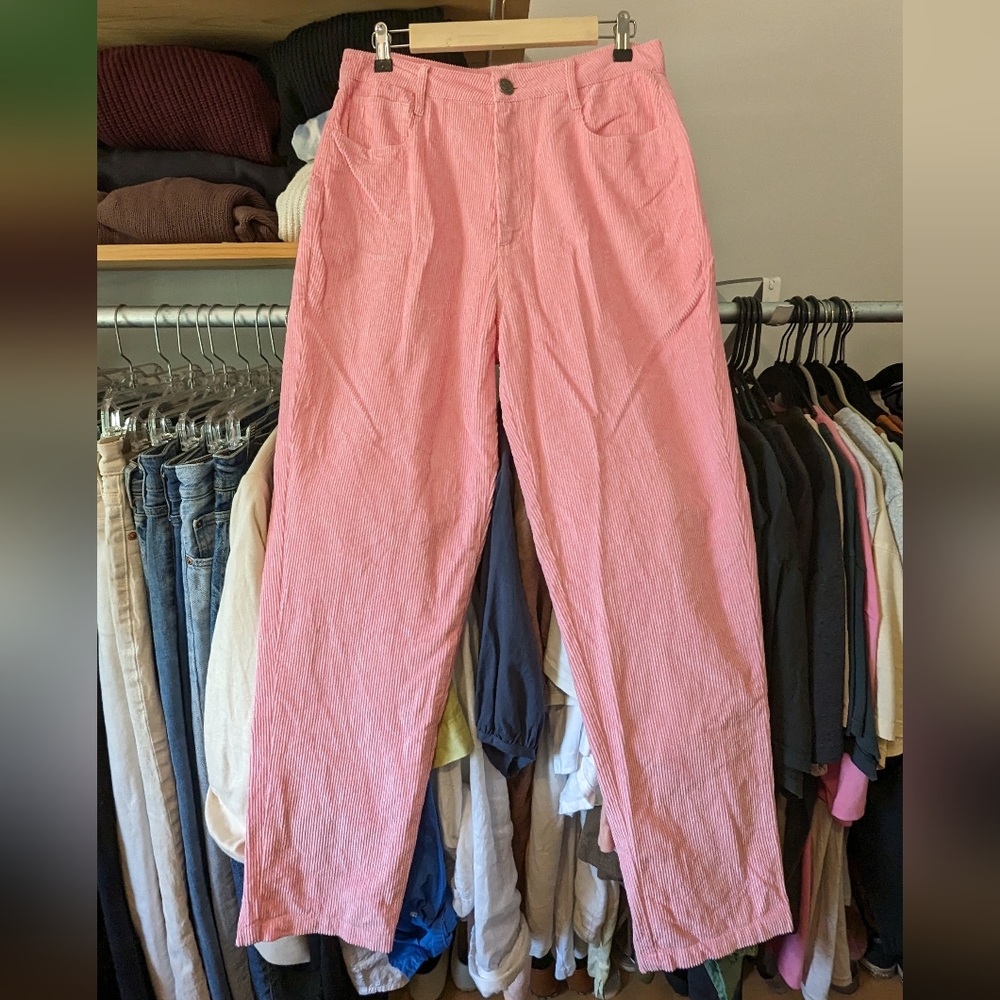 Lucy & Yak Pink Corduroy Dallas Pants Size 30
